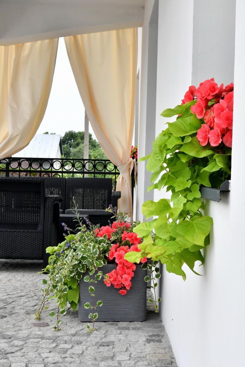 Apartament U Joli Miejsce Dış mekan fotoğraf