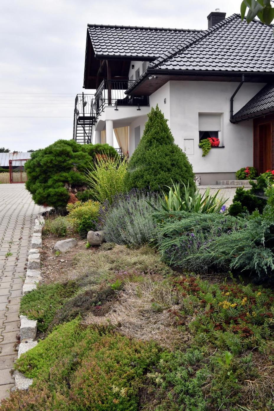 Apartament U Joli Miejsce Dış mekan fotoğraf